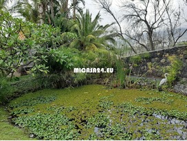 NH-062021 - Luxusvilla mit weitläufigen tropischen Gärten in der Nähe von Los LLanos de Aridane 19 / 20