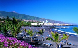 HH333 - 4 Ferienwohnung Studio in Puerto de la Cruz - 300 Meter zum Strand 2 / 25