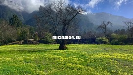 NH-MVP-2 - Rural Hotel in La Orotava mit 10 Apartments 2 / 22
