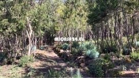 NH-MVP-2 - Rural Hotel in La Orotava mit 10 Apartments 3 / 22