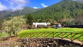 NH-MVP-2 - Rural Hotel in La Orotava mit 10 Apartments 7 / 22