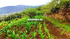 RA101 - Tolle Finca in La Orotava - Tenerifffa, mit Meerblick 14 / 16
