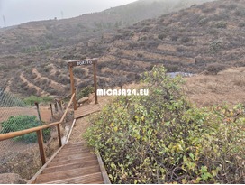 HH899-Finca Bonito - La Medida 3 / 24 HH899-Finca Bonito - La Medida 3 / 24