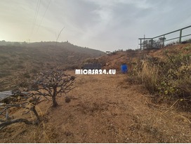 HH899-Finca Bonito - La Medida 4 / 24 HH899-Finca Bonito - La Medida 4 / 24