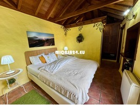 NH200-Renovierte kanarische Finca - Icod de los Vinos, Teneriffa Nord-West 14 / 19