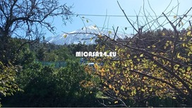 NH200-Renovierte kanarische Finca - Icod de los Vinos, Teneriffa Nord-West 19 / 19