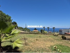 NH172-Traumhafte Finca mit Gästehaus in Icod de los Vinos 10 / 17