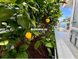 NH-152-Top Villa - Puntillo del Sol 12 / 17